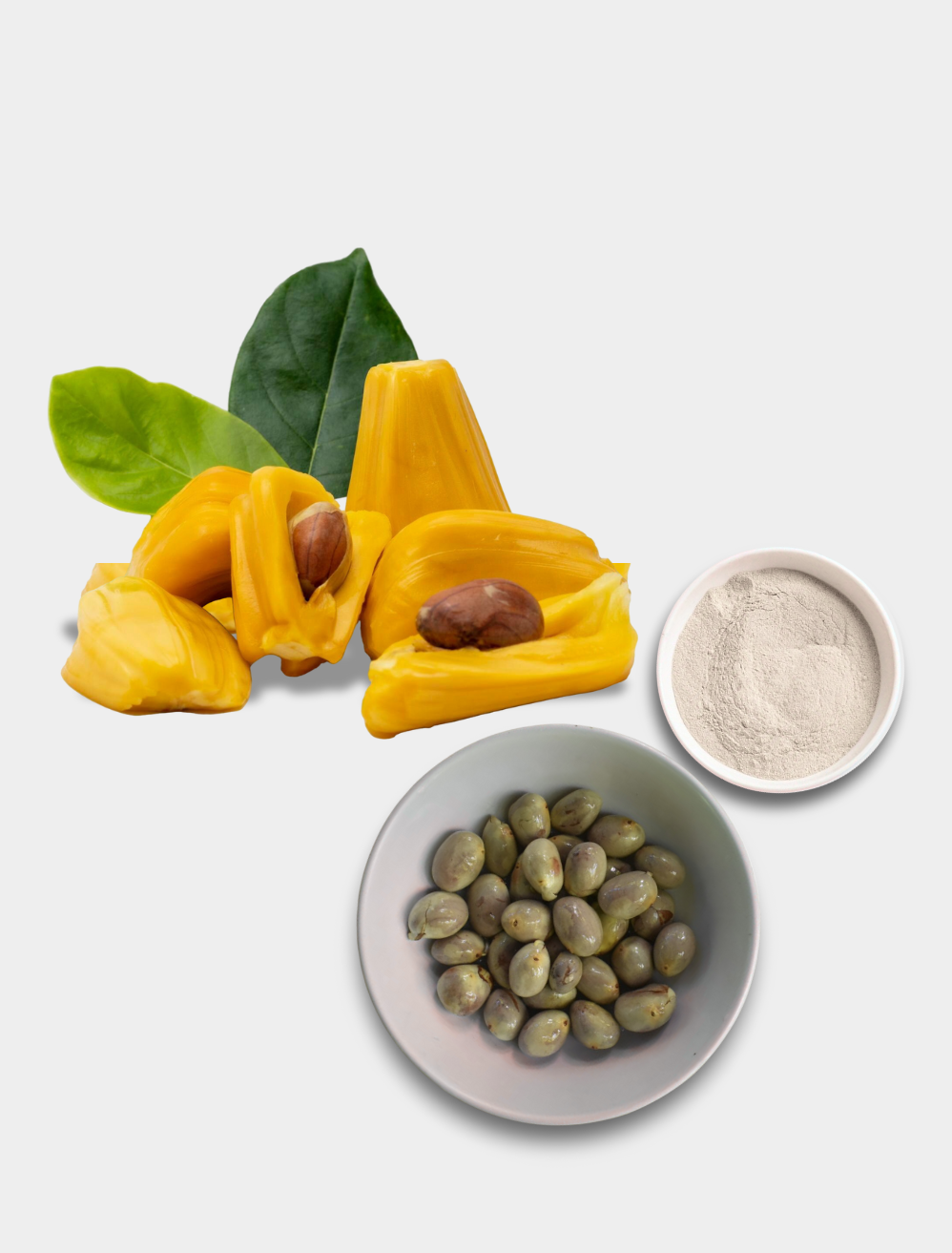 Jackfruit Seed Powder