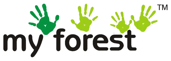 My Forest